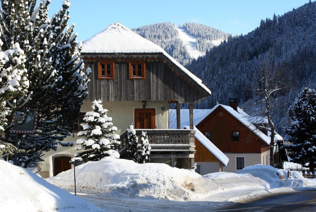 Ferienhaus Alte Muehle Hohentauern Exterior foto