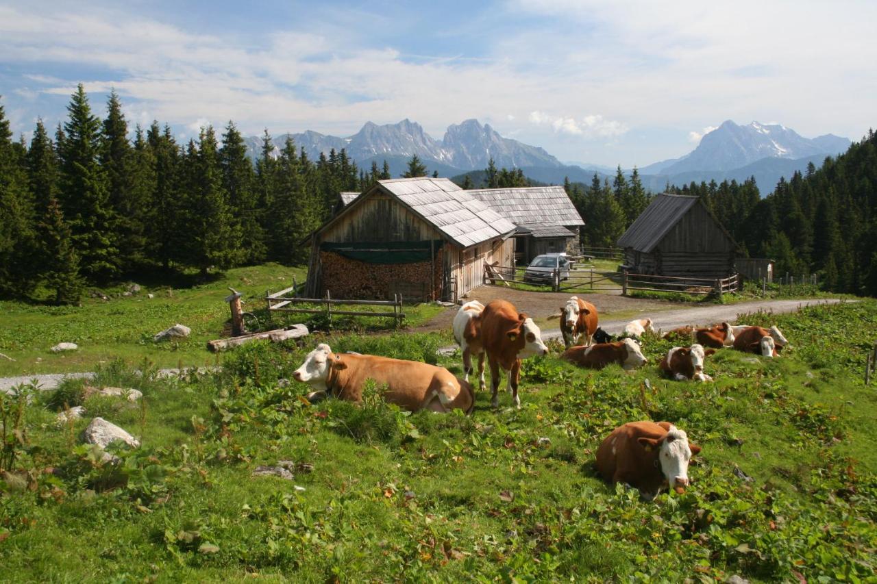 Ferienhaus Alte Muehle Hohentauern Exterior foto